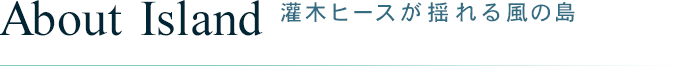 About Island - 灌木ヒースが揺れる風の島